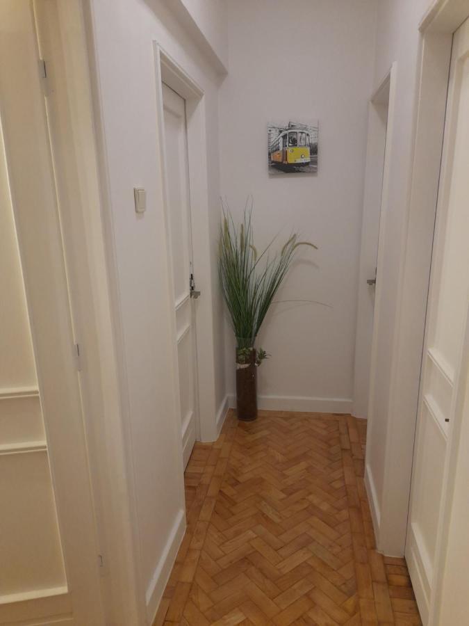 Cozy Central 3 Bedrooms Bragas Porto Eksteriør billede